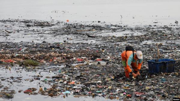 FILE - A worker collects garbage, most of which is plastic and domestic waste, along the shore of Jakarta, Indonesia, June 8, 2023. 