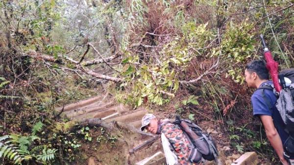 Mount Kinabalu hikers urged to beware of falling trees, landslide