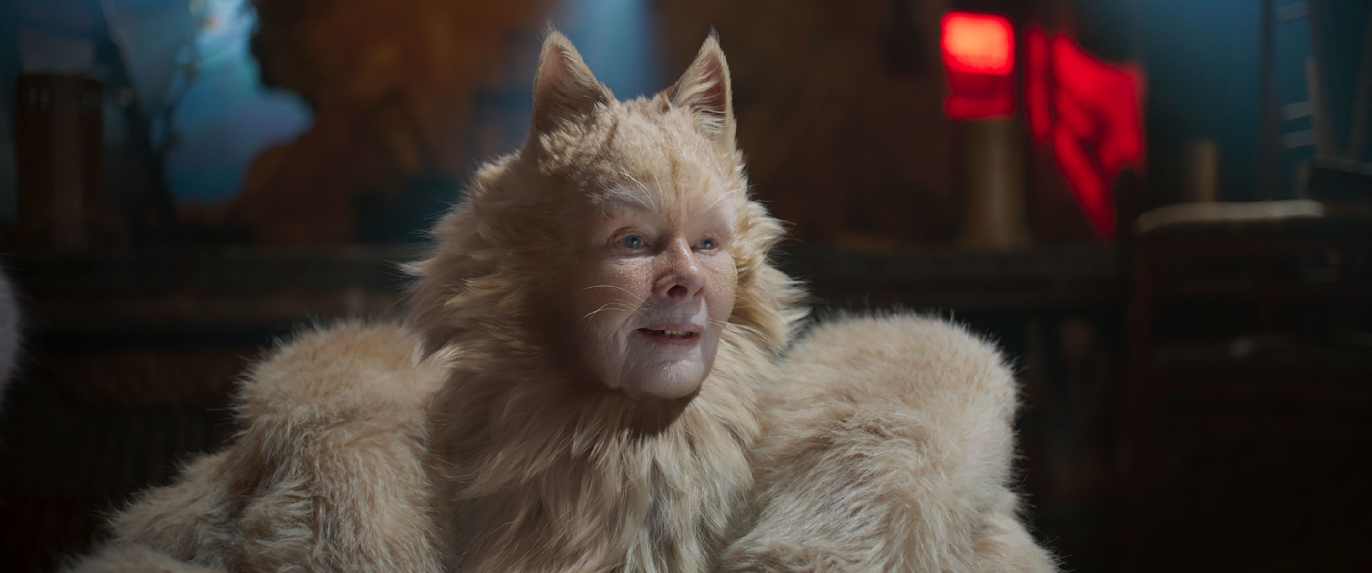 猫音乐剧中的猫