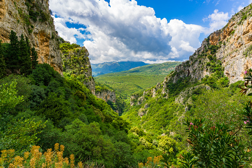 Lousios gorge