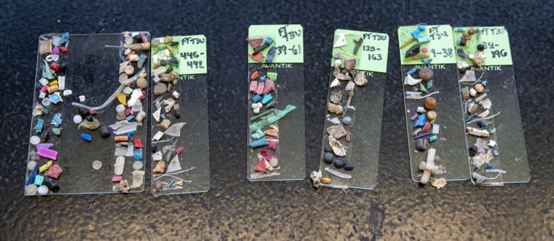 New URI study finds extensive microplastics in Narragansett Bay