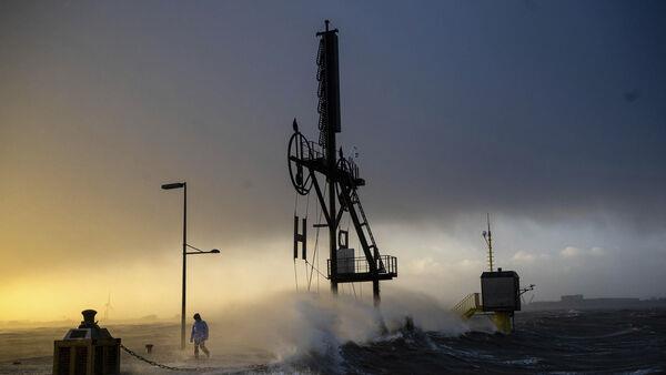 Transport disrupted and woman killed by falling tree as storms sweep Europe