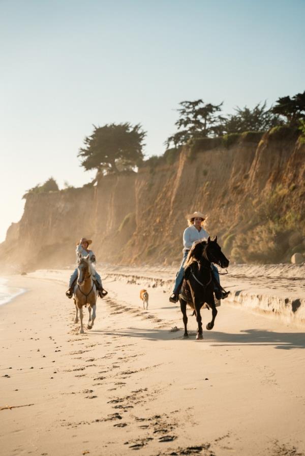 The oceanfront horse ranch is a dreamThe oceanfront horse ranch is a dream