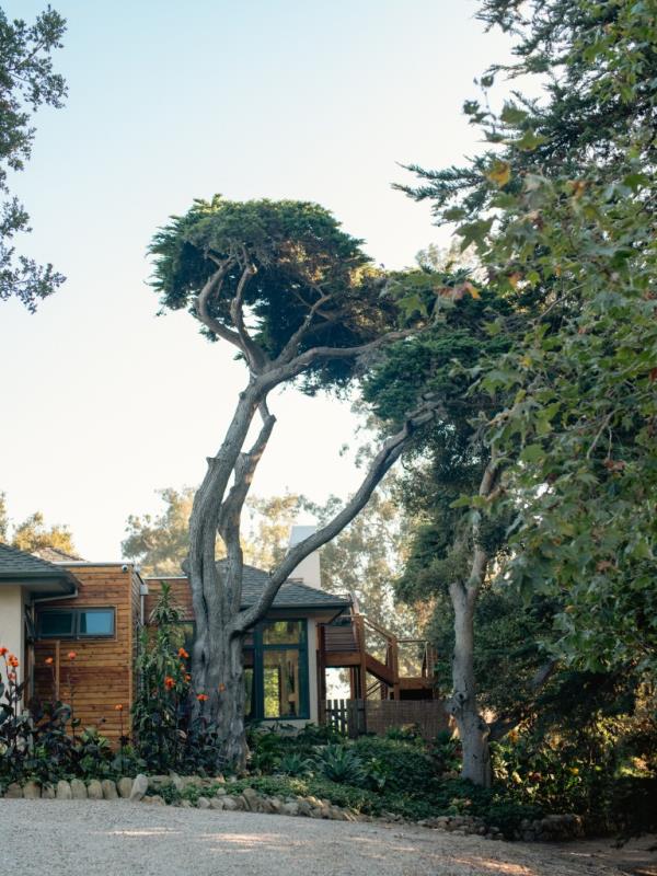 The charming ranch house is surrounded by mature trees