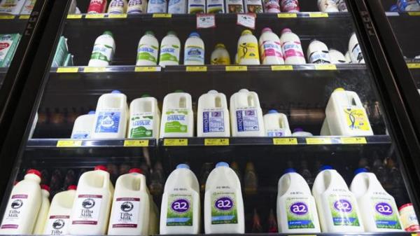 CANBERRA, AUSTRALIA, NewsWire Photos. OCTOBER 2, 2023: Stock images of milk at the supermarket in Canberra. Picture: NCA NewsWire / Martin Ollman