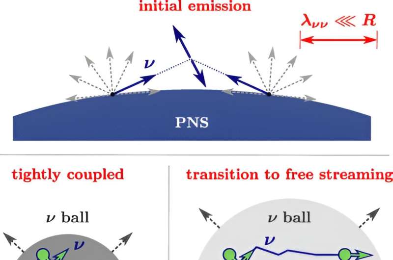 Using supernovae to study neutrinos' strange properties