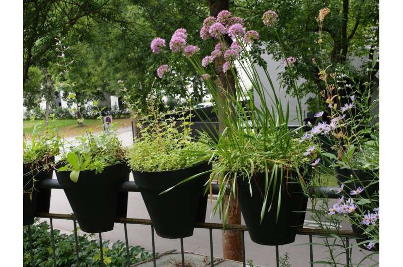 Biodiversity: Gardens could be an Eden for vulnerable plants