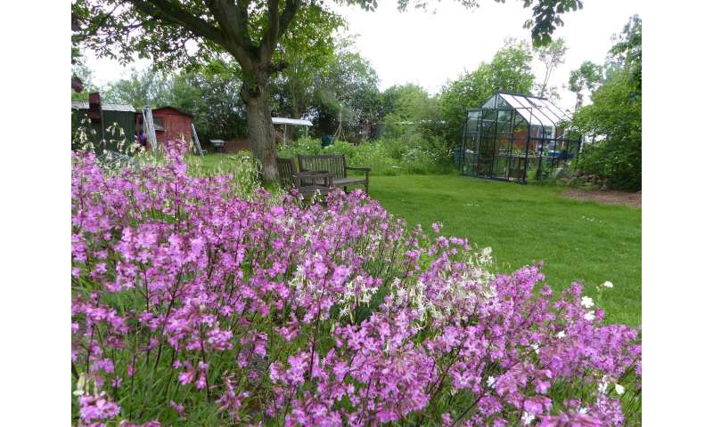 Biodiversity: Gardens could be an Eden for vulnerable plants