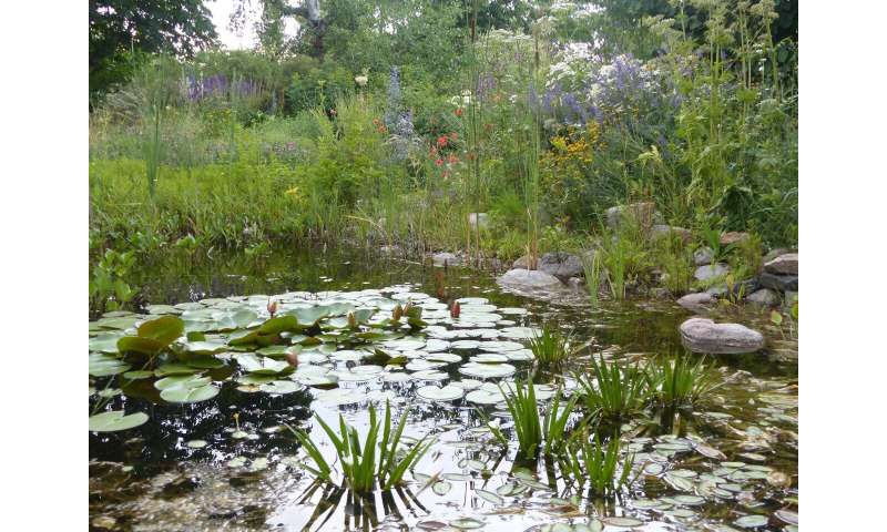 Biodiversity: Gardens could be an Eden for vulnerable plants