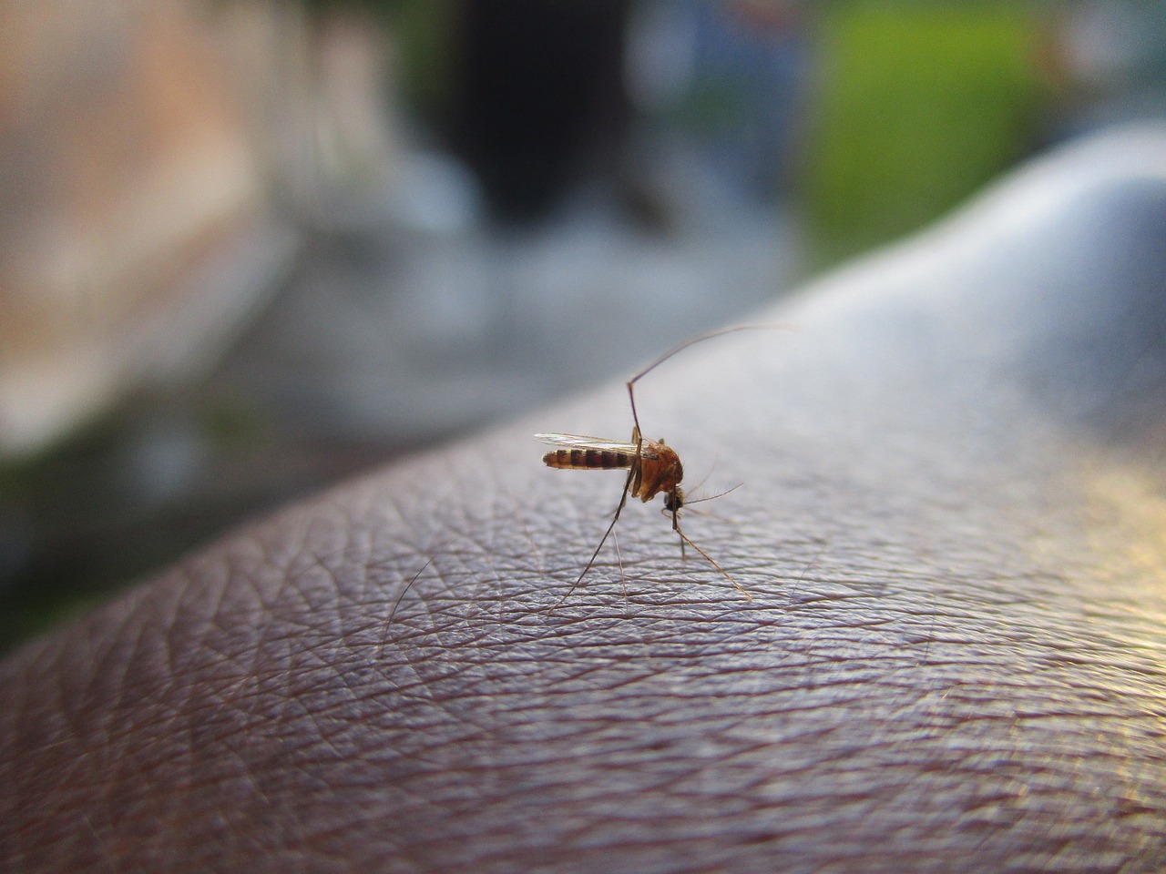 a minor died from the disease