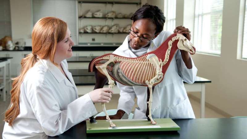 Vet school transmits culture, not just data, to students
