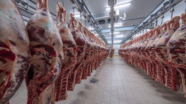 Beef farmers need 'significant' price increase 'without delay'