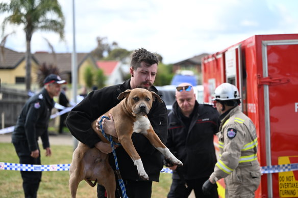 Emergency crews pulled a dog from the Sydenham home hours after the fire.