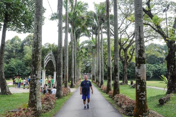 Taman Tun Dr Ismail: From humble rubber estate to affluent neighbourhood