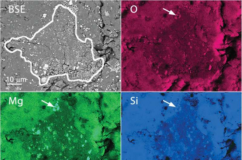 Preserved presolar silicate grains found in Ryugu samples
