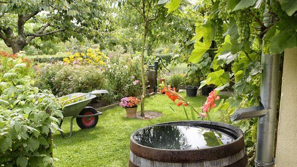 How gardens can play a role in preventing flooding