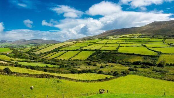 ACRES extension to March 2025 for planting hedgerows and trees