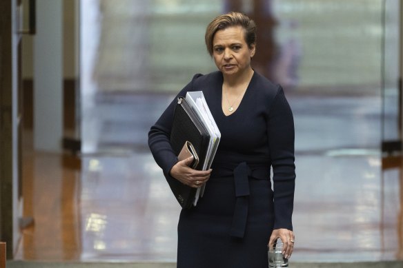 Communications Minister Michelle Rowland quotes the NBN’s worth at $20 billion.