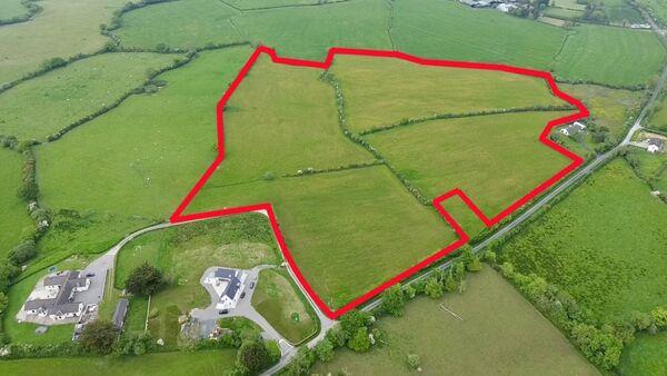 25-acre farm by Brittas Bay for auction after 65-acre Wexford farm fetches over €1.6m