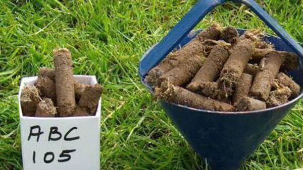 90,000 soil samples to be taken over 2024