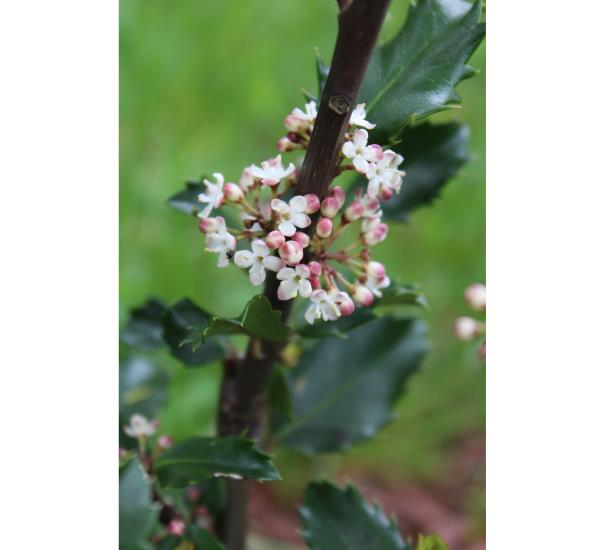 布雷特·斯蒂芬森，Wicklow Way Wines的联合创始人