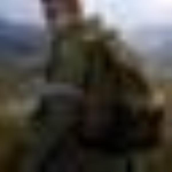 DayZ