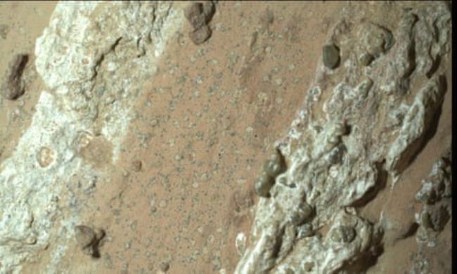 Close-up photo of the surface of the Cheyava Falls rock with its spots and veiny markings