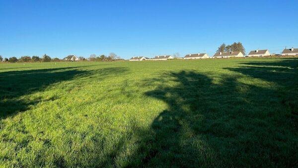38-acre quality holding seeking €15-€20k/acre close to sale