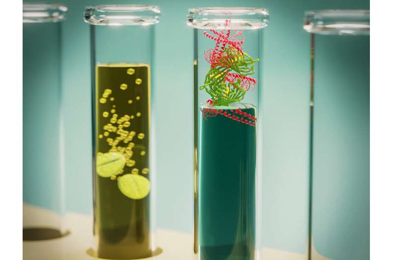 Breakthrough in solid-state storage innovates how biological materials are stored and handled