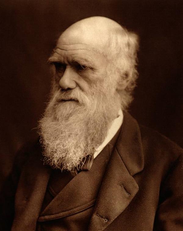 The theory builds on Darwin's Theory of Evolution. Credit:  adoc-photos/Corbis via Getty Images