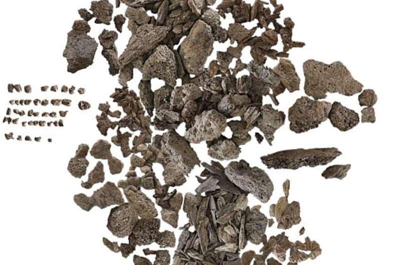 Mystery Iron Age warrior buried on small island off the coast of England determined to be female