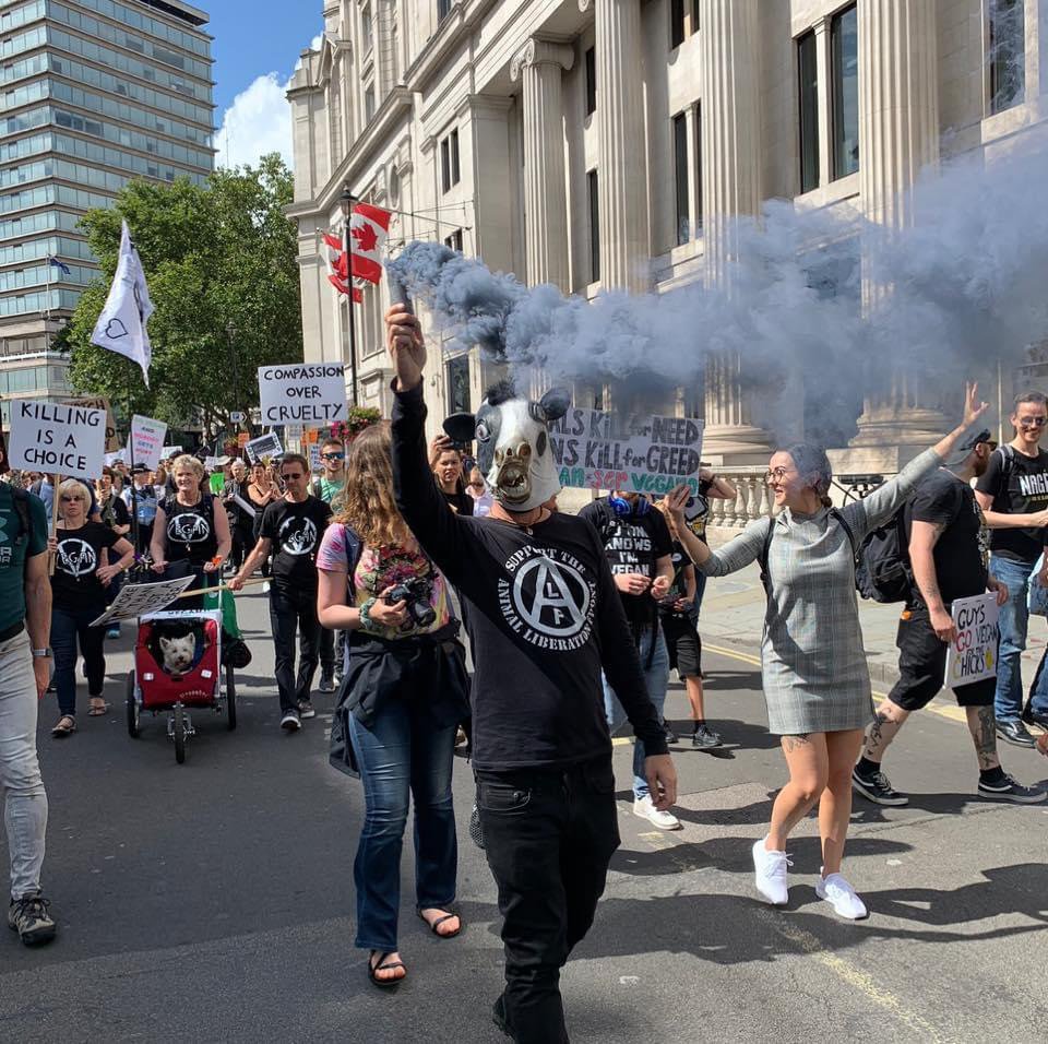 Chas wearing a horse mask, holding a flare and at a protest march on the streets
