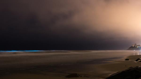 Pacific Ocean at night
