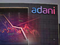 Adani 3
