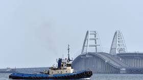 We really want to destroy Europe’s longest bridge – Zelensky