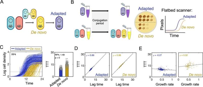 科学家在抗击抗生素抗性方面又迈出了一步