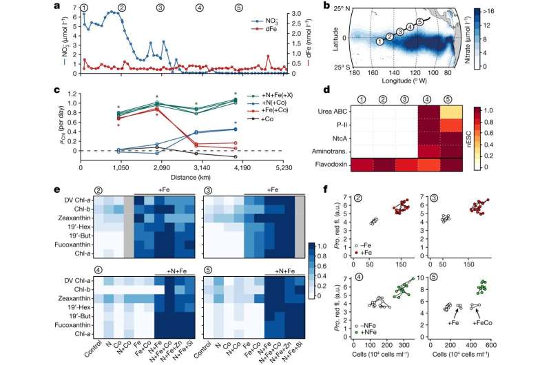 Assessing controls on ocean productivity—from space