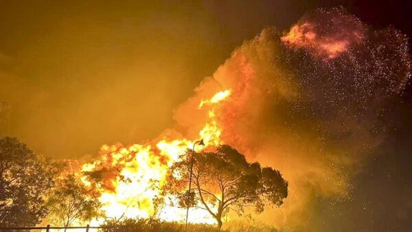 Dozens evacuated as Australian wildfire burns out of control