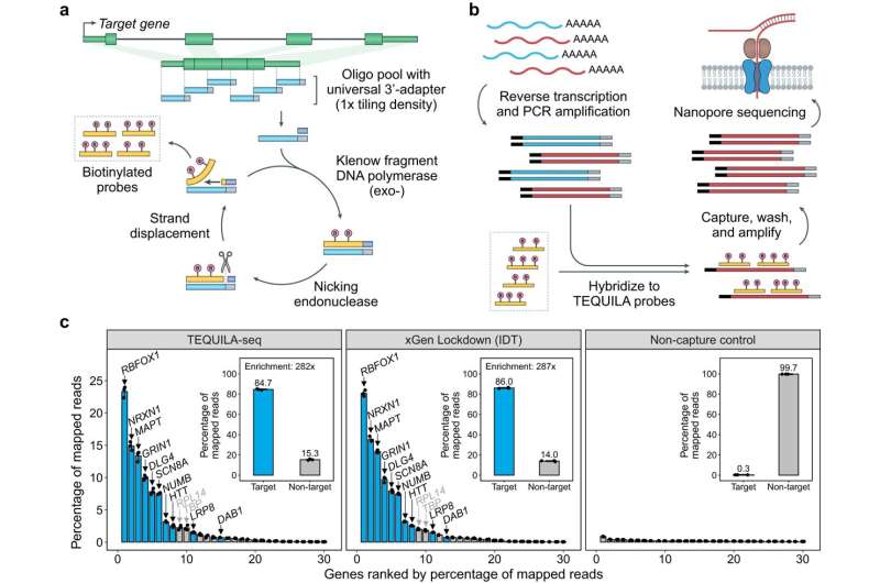 Researchers develop versatile and low-cost technology for targeted long-read RNA sequencing