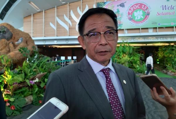 Up to GPS and premier to make an official statement on PDP collaboration with Opposition, says PBB vice president