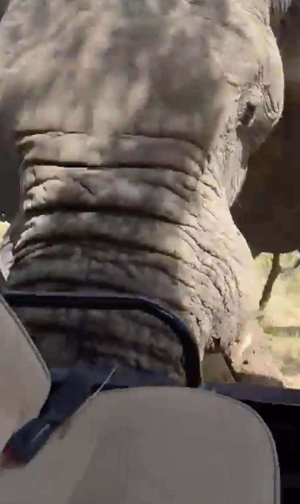 The driver stopped the vehicle suddenly