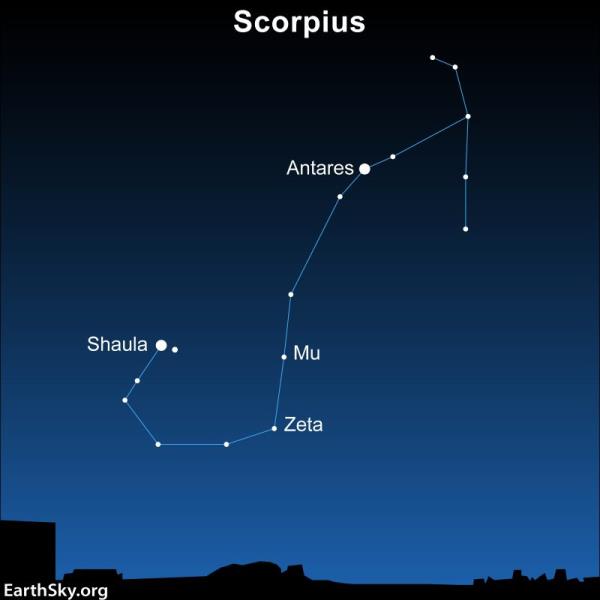 Sky chart showing Scorpius with stars Mu and Zeta Scorpii and Antares labeled.