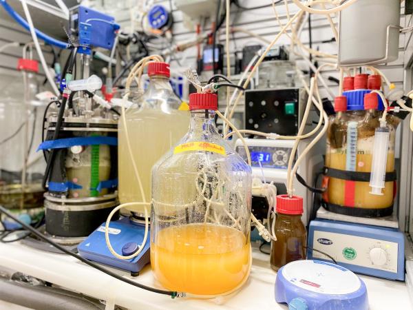 A two-step bioreactor system