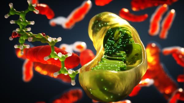 cannabidiol i síndrome de Leigh, representació 3D. INC-UAB