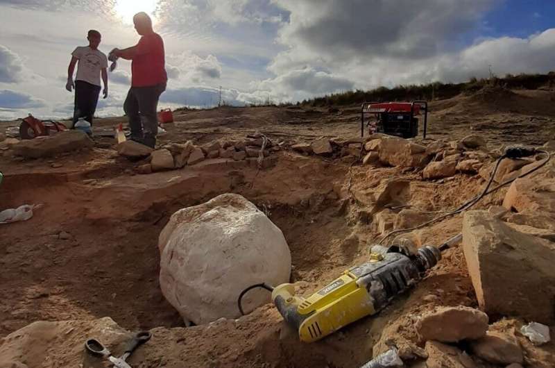 265-million-year-old fossil reveals oldest, largest predator in South America, long before the rise of dinosaurs