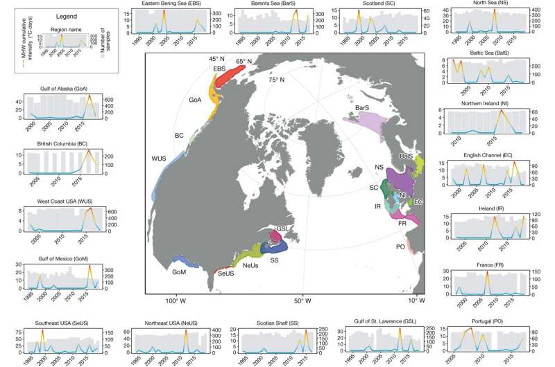 Fish buffered from recent marine, showing there's still time to act on climate change
