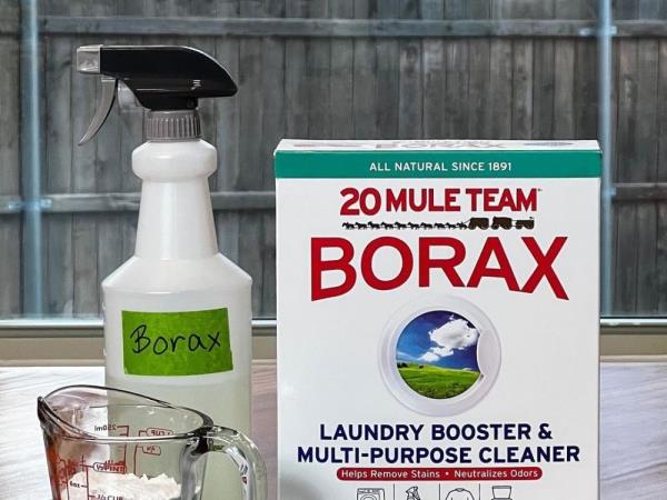 Medical experts warn against drinking laundry powder Borax, TikTok’s latest ‘detox’ trend (VIDEO)