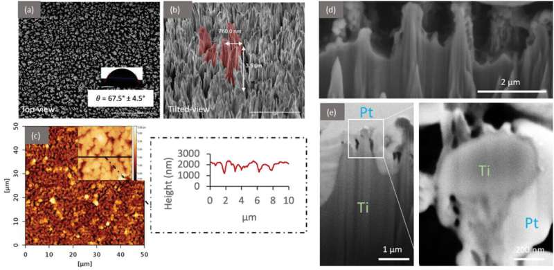 Titanium micro-spikes skewer resistant superbugs