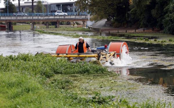 Weed cutting in Taylor River in May 2023.