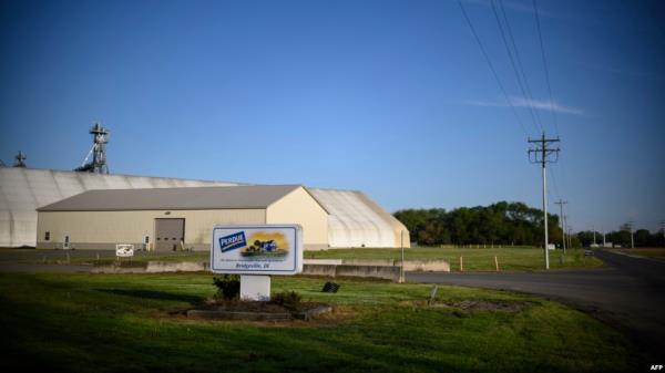 FILE - A Perdue poultry and chicken farm is seen in Bridgeville, Delaware, May 2, 2020. The ongoing outbreak of bird flu has infected poultry flocks in nearly every US state since 2022 and more than 170 dairy herds in 13 states since March. 